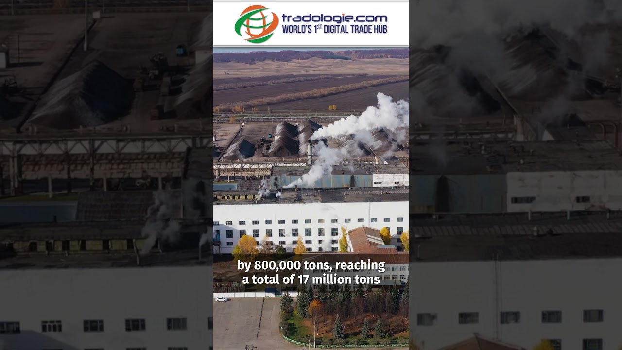Sugar Market to Experience Modest Surplus in 2024-25 Season