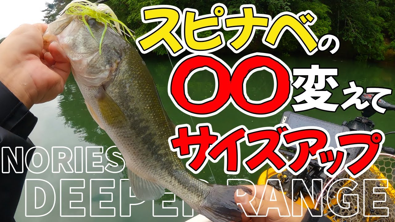 【バス釣り】スピナべの使い勝手の良さとネコリグの安定力【三河湖】