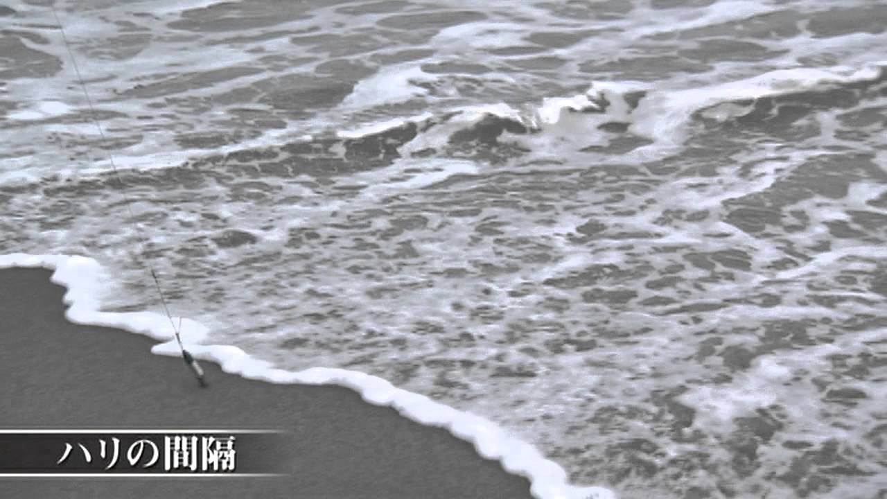 【いつでも釣り気分！】#173 確かな技術が好釣果を生む！　鹿児島県のシロギス攻略