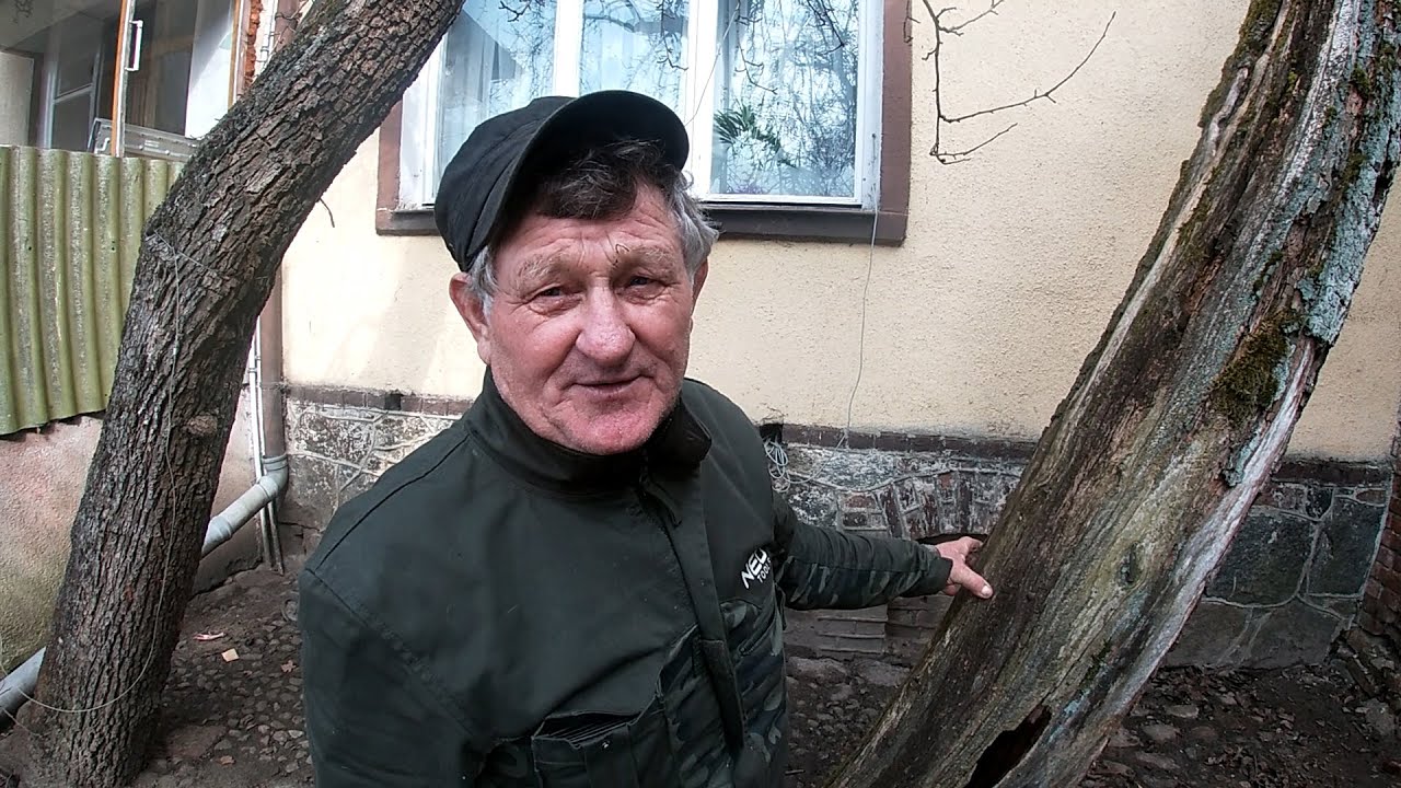 Dopiero drwal Kazimierz przezwyciężył przedwojenną gruszę