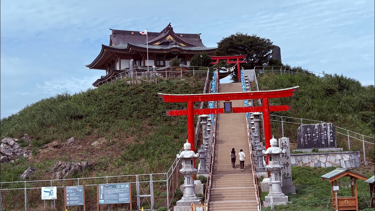 Relive 旅遊全紀錄250822-23日本東北Day7八戶蕪島神社黑尾燕鷗籤詩、Day8前往新宿#japantravel #日本東北 #神社 