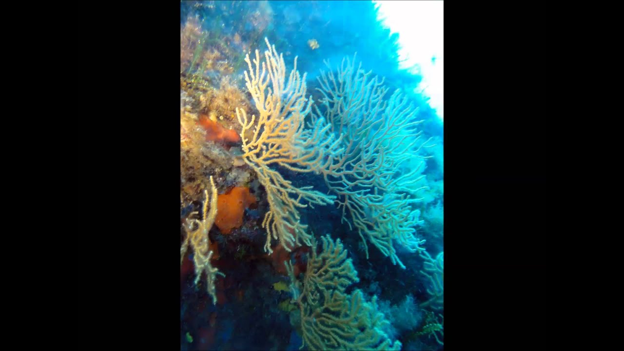 gabiniere  sept 2015