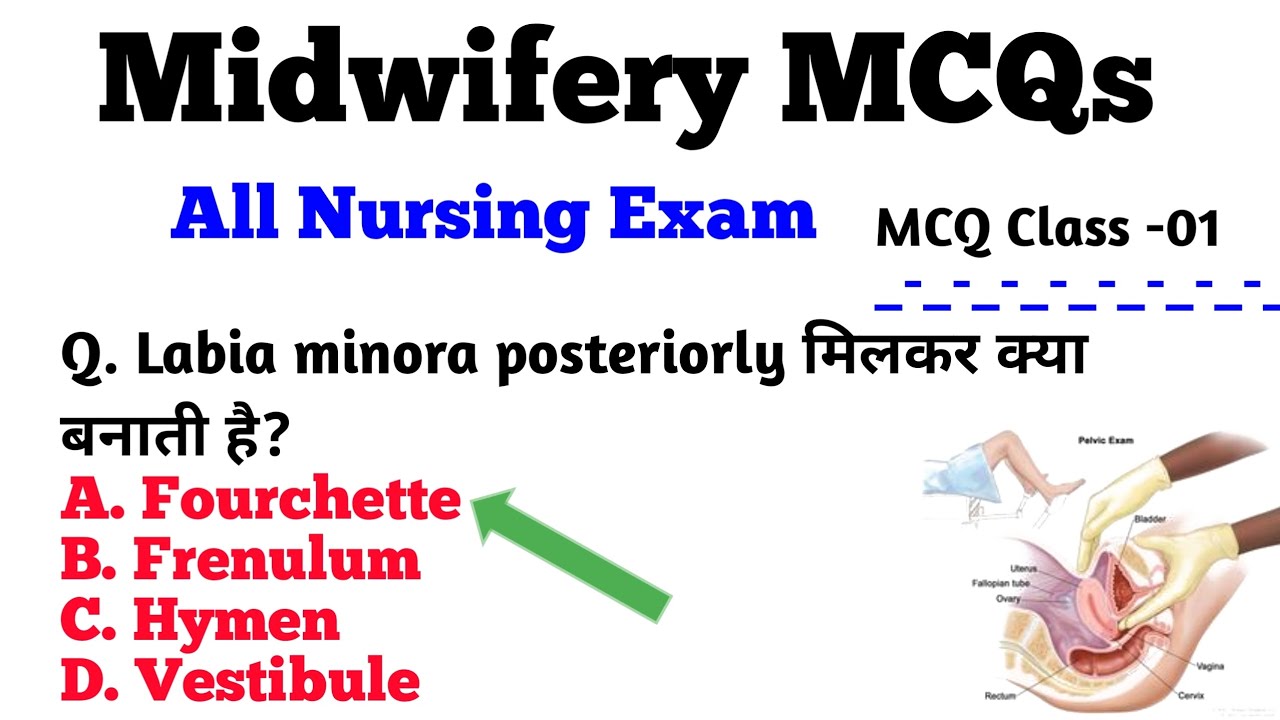 Midwifery MCQs Class-1 | All Nursing Exams | मिडवाइफरीमहत्वपूर्ण प्रश्न #pyq #nursingexam #upssscanm