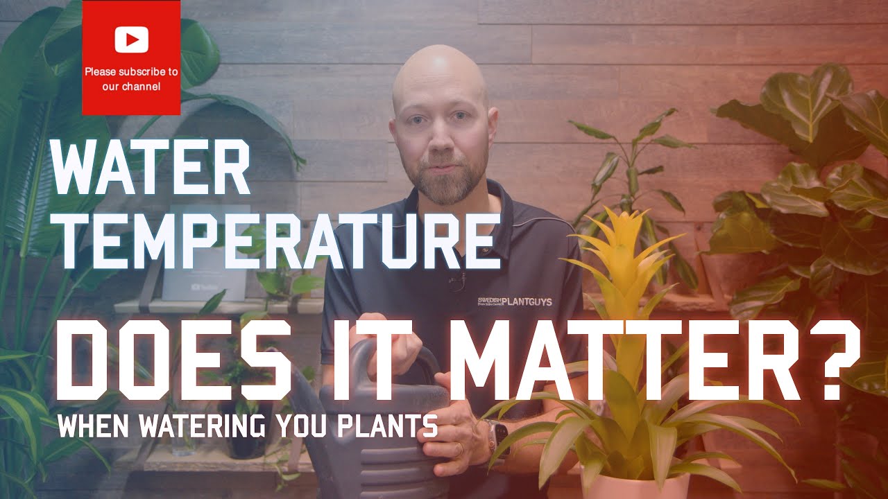 Does water temperature💦 🌡️ matter when watering your plants?