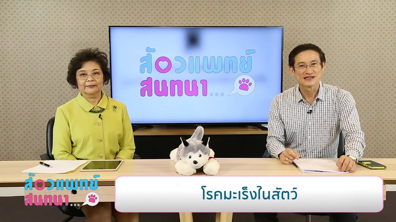 โรคมะเร็งในสัตว์ | รายการสัตวแพทย์สนทนา