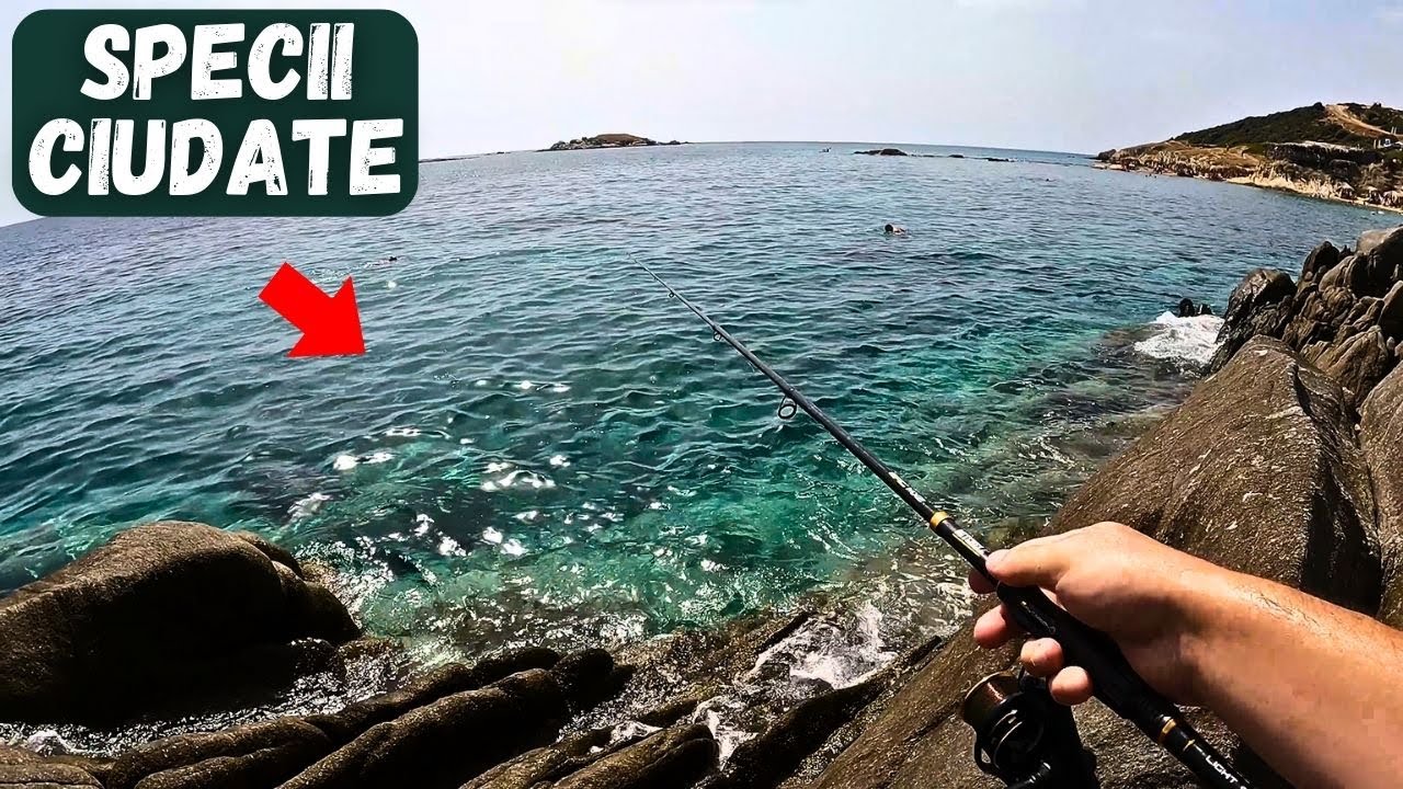 PRIMUL meu PESCUIT la MARE (cu paine, viermi si creveti)