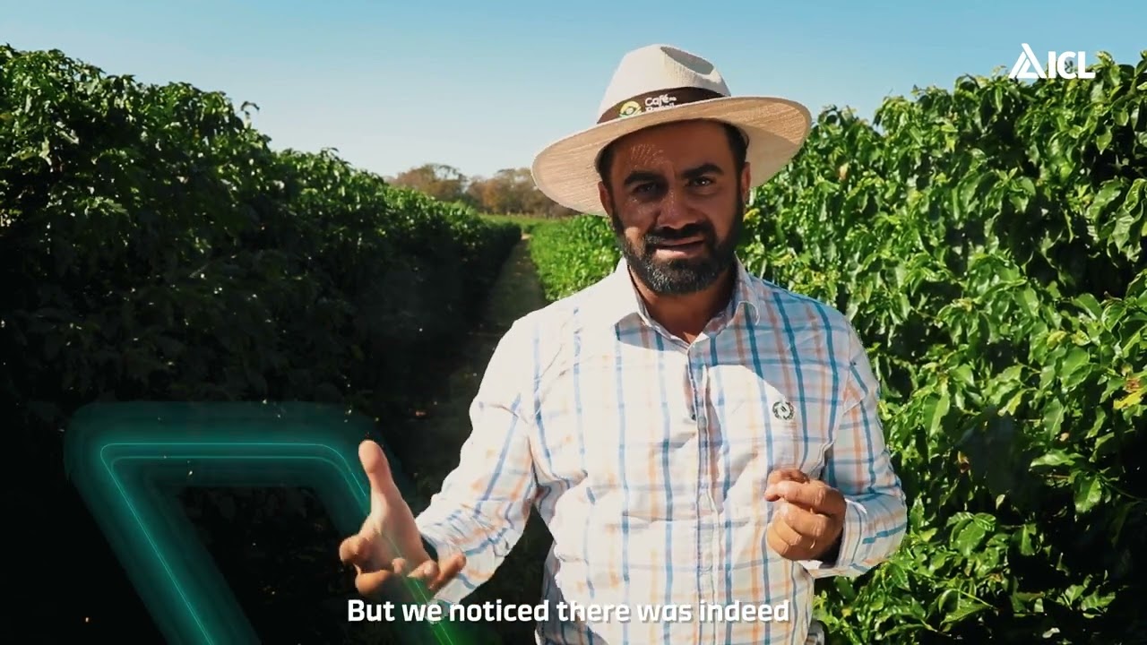 Momento Keep Green 06 | Rafael Stefani Mendes