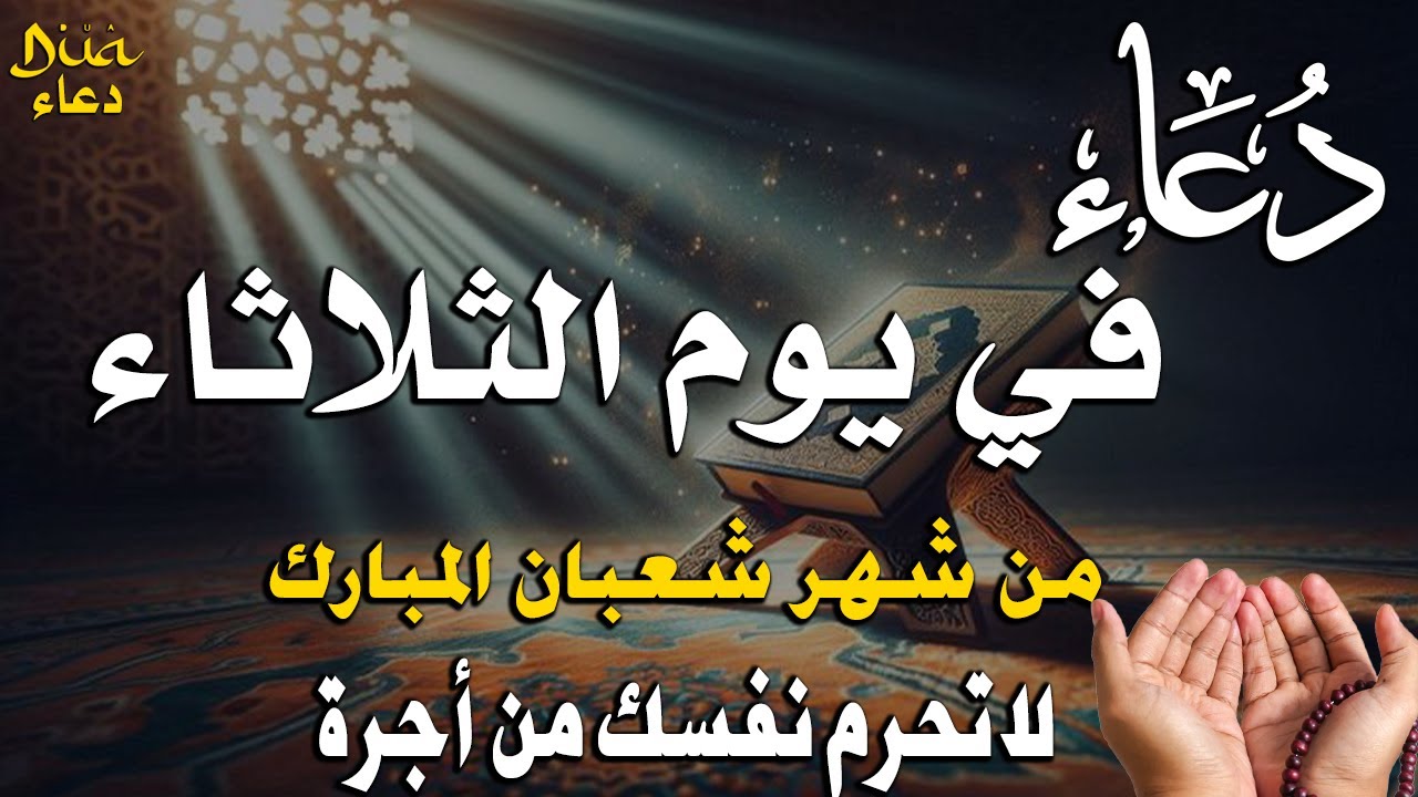 دعاء فى يوم الثلاثاء المستجاب دعاء في يوم 22 من شهر شعبان للرزق والشفاء العاجل وقضاء الحوائج 🤲(4k)