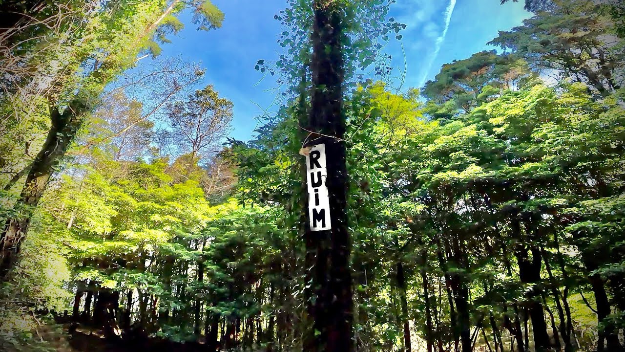 Ruim, o novo e espetacular trilho de Sintra
