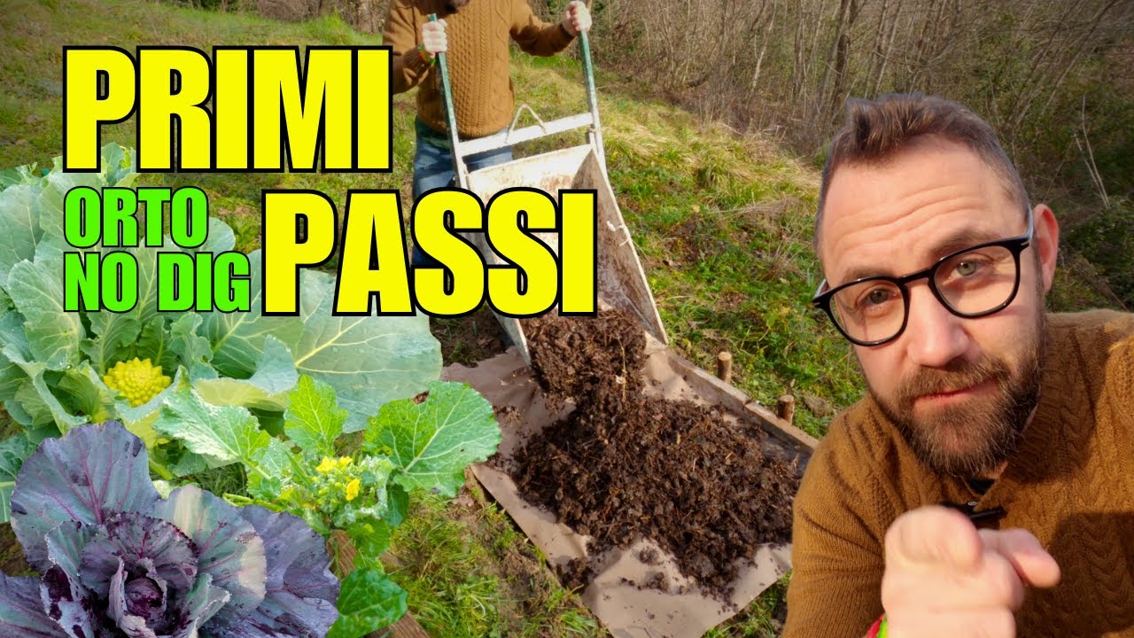 ORTO NO DIG PER PRINCIPIANTI | COME INIZIARE #nodig #gardeningtips #orto