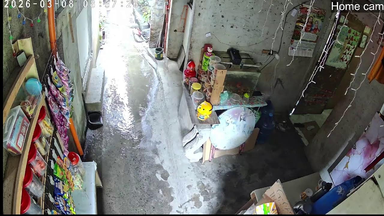 Lola's Home - Home Cam- My Everyday life