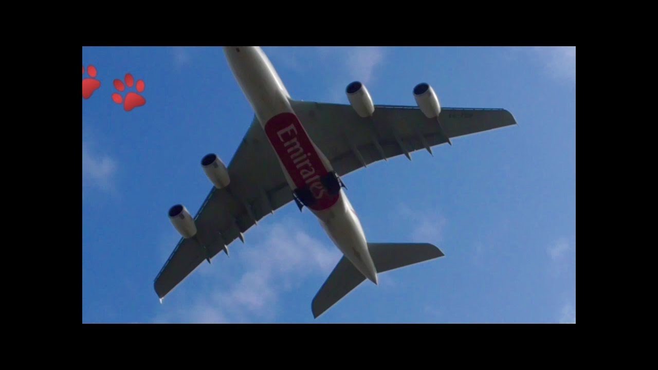 Plane Spotting **Heavy Overhead Takeoffs** RW27R Inc. 8x A380s...at London Heathrow Airport ✈️✈️🐿