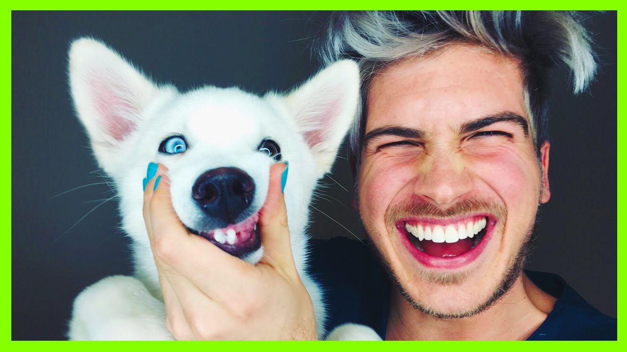 PUPPY GETS HIS 2 FRONT TEETH!