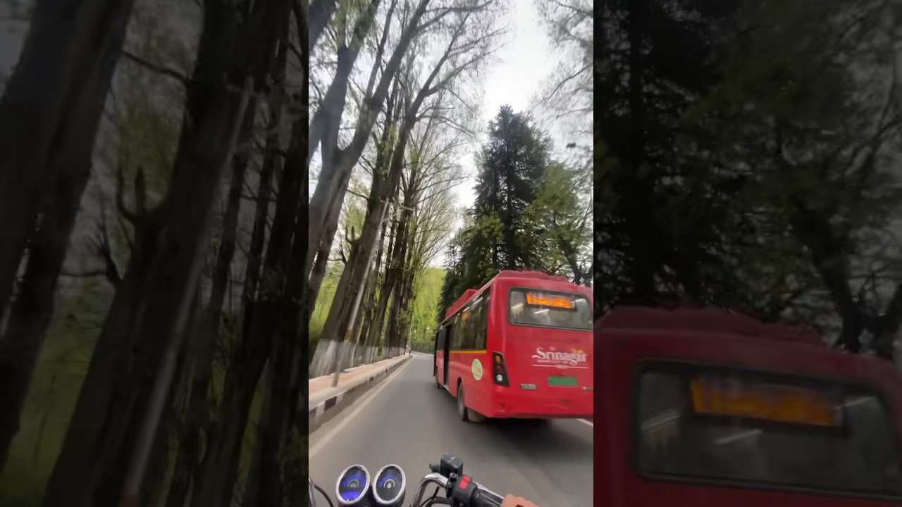 Epic Srinagar Road Trip: Discover the Hidden Gems of Kashmir 🚗✨