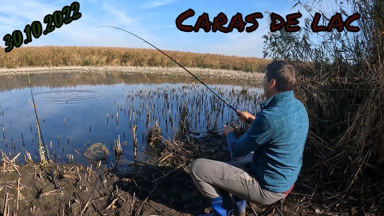 Wild FISHING 2 Lake - 30 Octombrie 2022 EL CARASIO #caras #pescuit2022