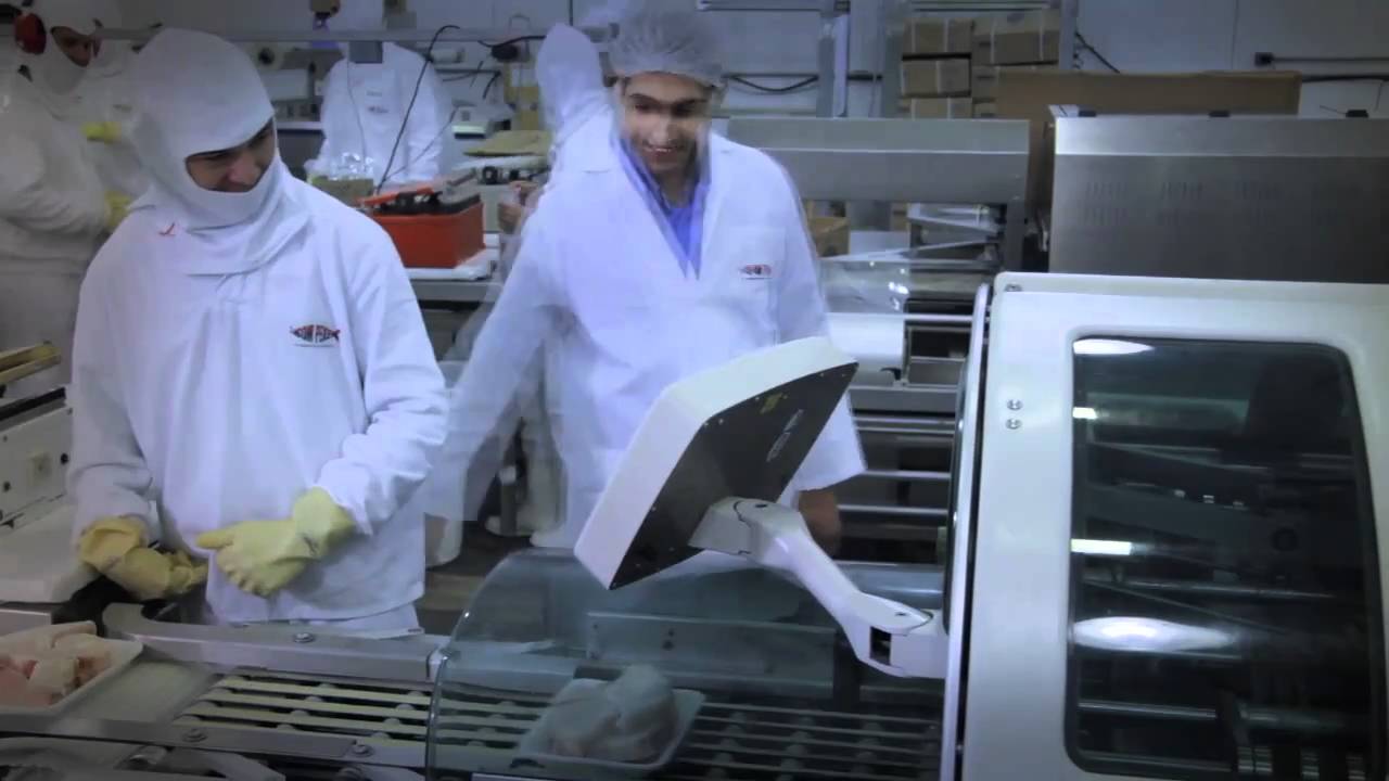 BOM PEIXE 30 ANOS