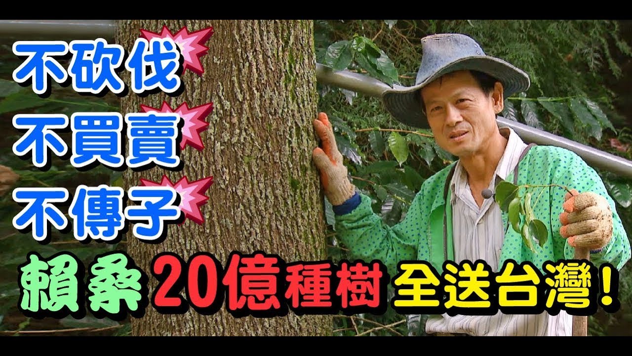 散盡家產種樹送台灣 賴桑的大雪山種樹人生【一步一腳印精選】