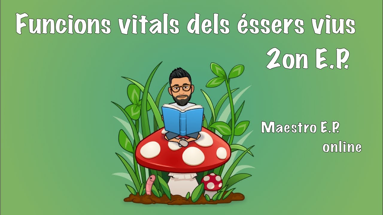 FUNCIONS VITALS del ÉSSERS VIUS. - Per a XIQUETS de SEGON de PRIMÀRIA - 2on E.P. - CC.NN 3.1