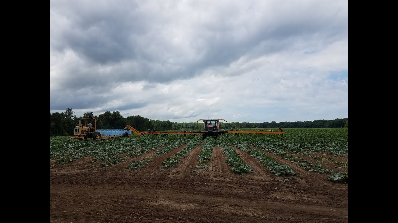 GVF 8200 Harvest Aid