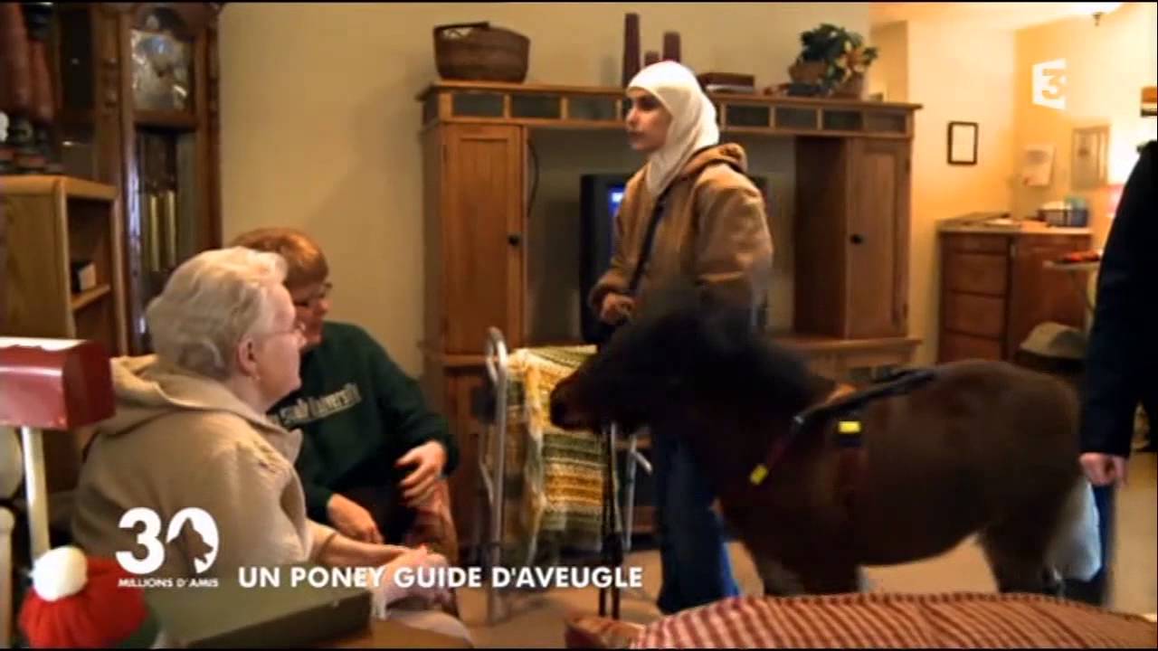 Mona, aveugle qui se déplace avec un poney guide à la place d'un chien