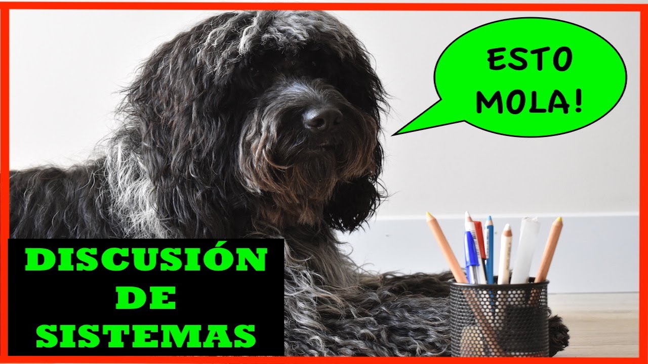DSE03-II Ejercicio de DISCUSION DE SISTEMAS DE ECUACIONES resuelto #Bachillerato II