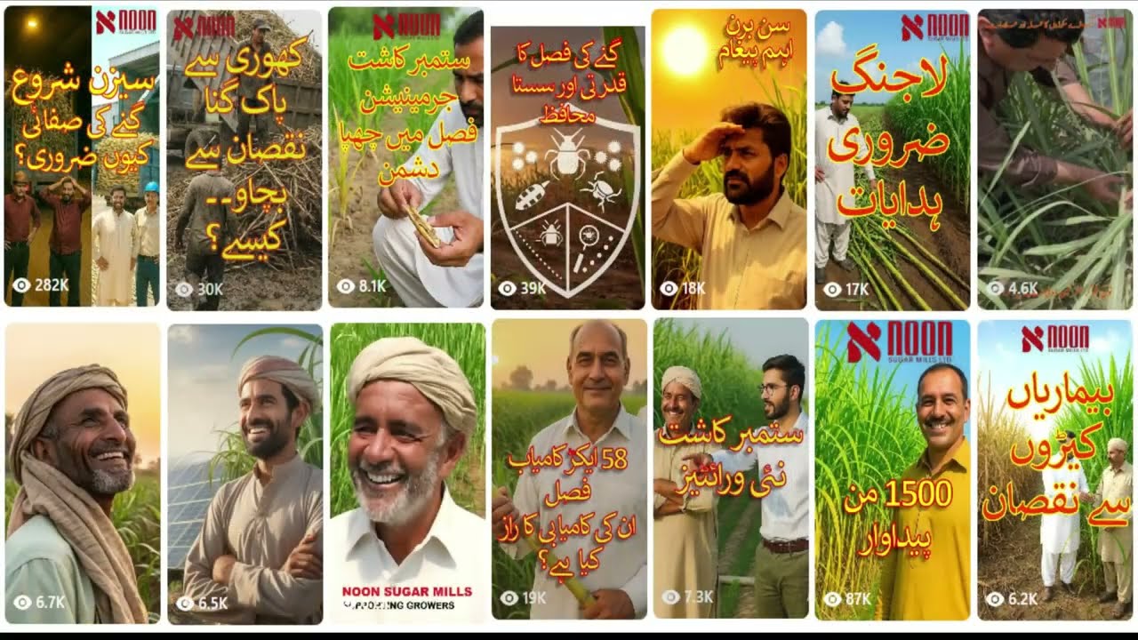 Noon Sugar Mills | Digital Farmer Engagement & Sugarcane Development Program