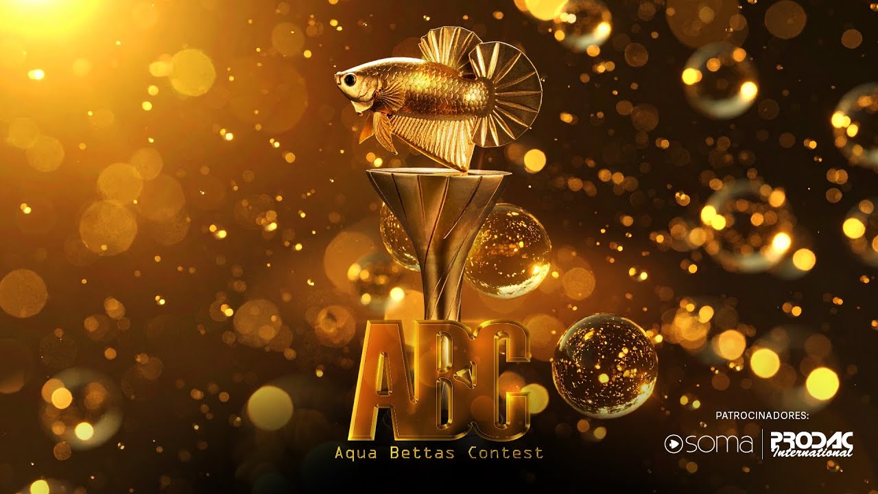 ABERTURA OFICIAL – AQUA BETTAS CONTEST 3ª EDIÇÃO