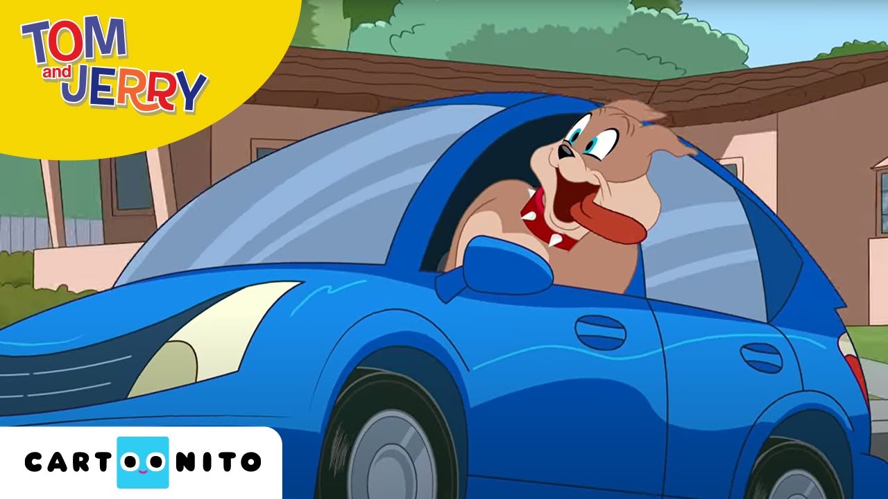 Tom and Jerry | Als Spike van huis is... | Cartoonito