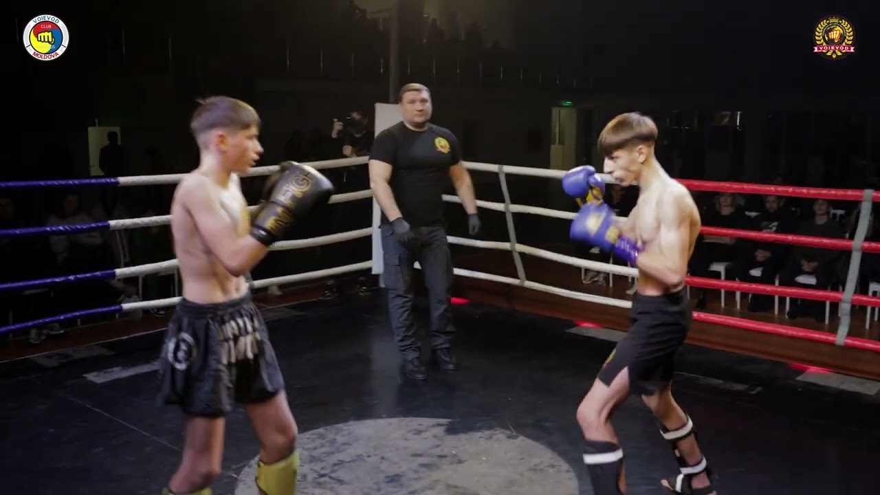 Roman Gabriel vs Budaianu Dan