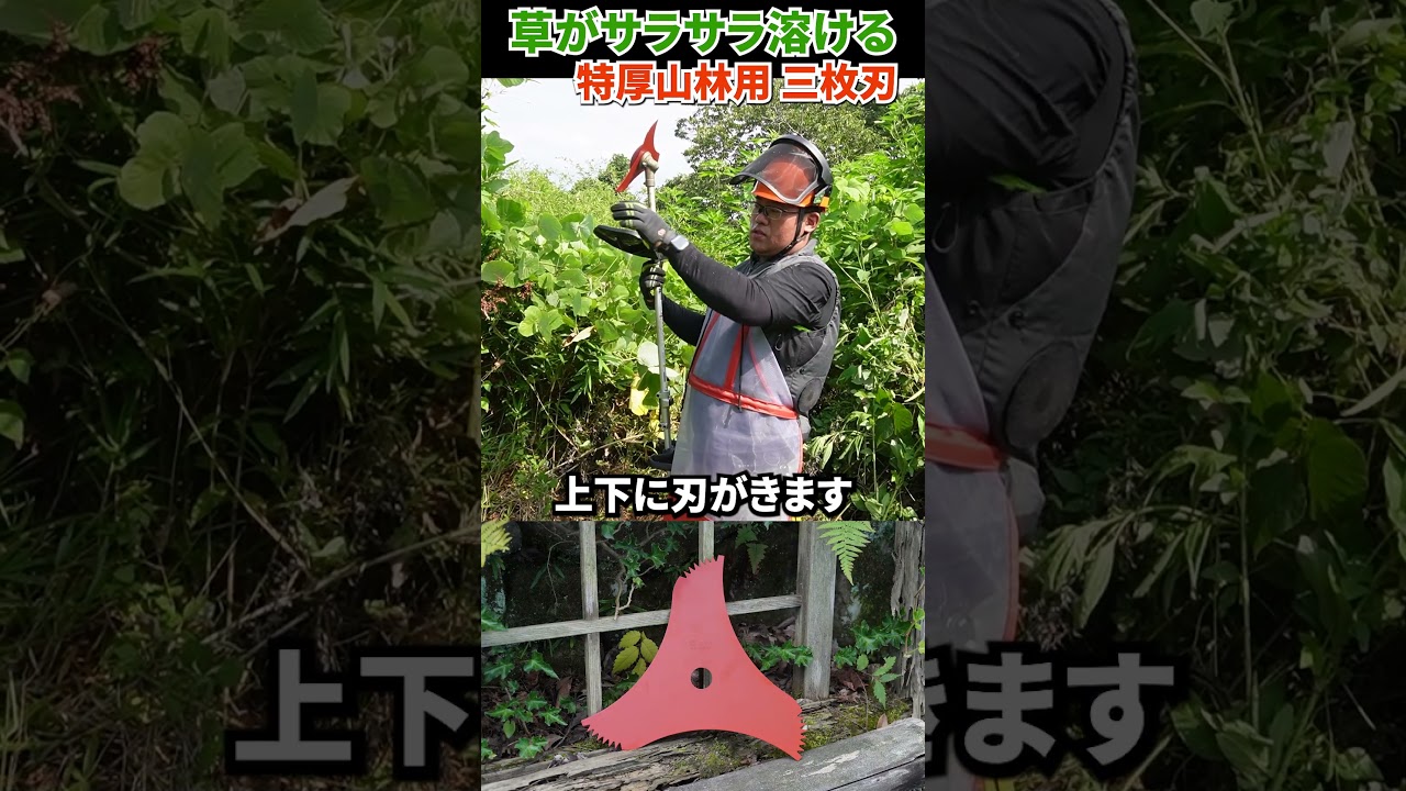 日本製 特厚山林用 三枚刃