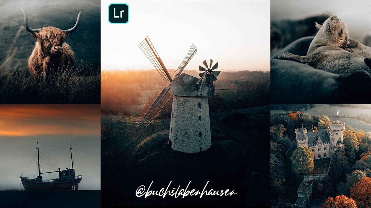 How to edit like @buchstabenhausen in lightroom mobile | Lightroom Mobile Presets Free DNG & XMP