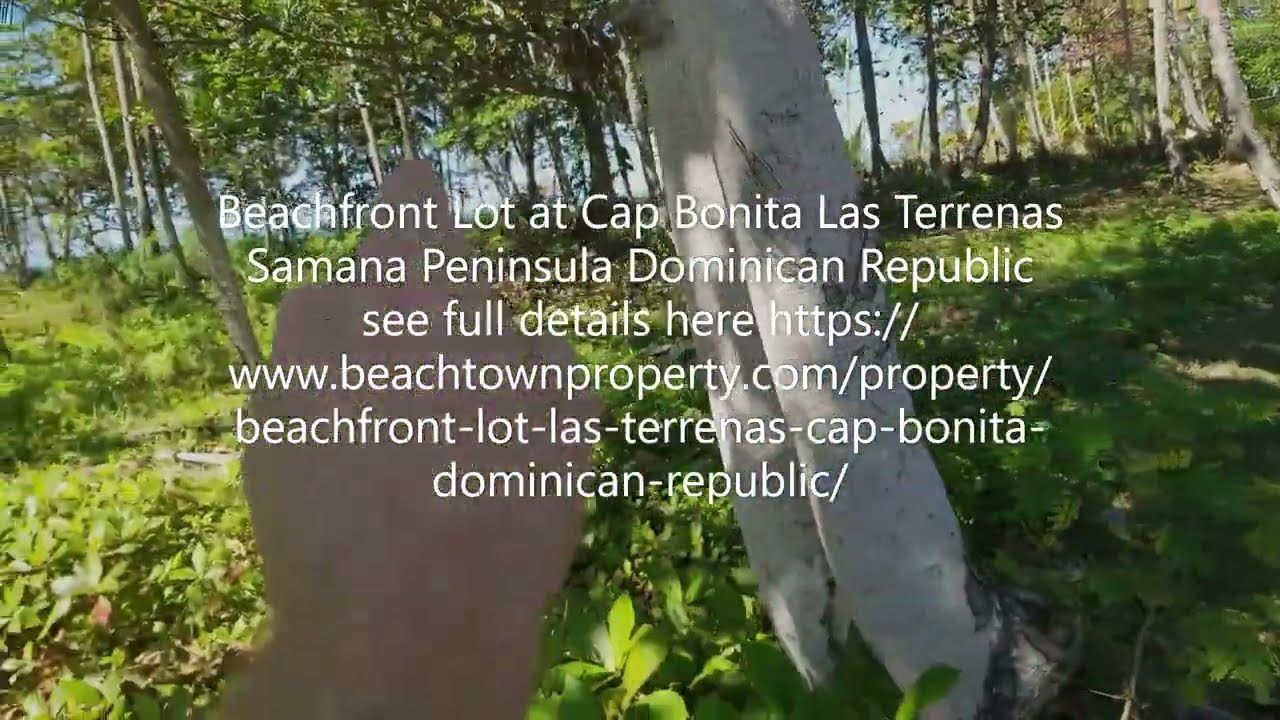 Cap Bonita Beachfront lot for sale Las Terrenas Samana Peninsula Dominican Republic