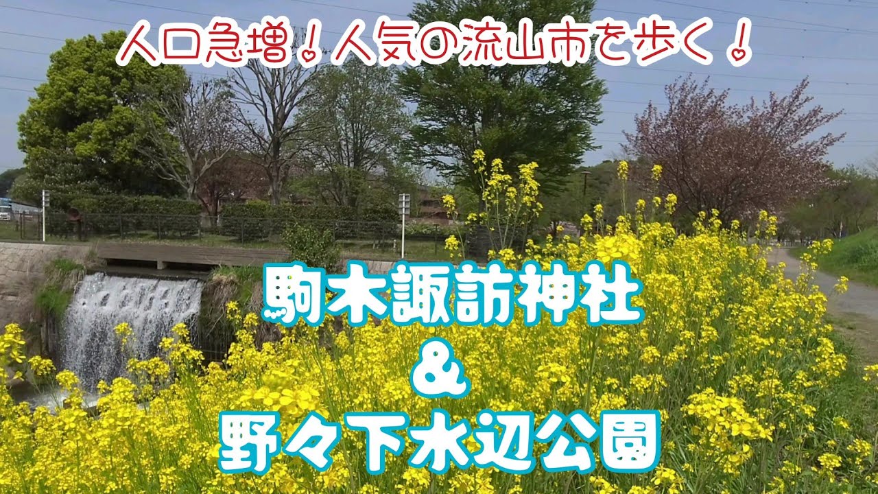 【東武アーバンパークライン豊四季駅(柏市)から行く流山市散歩】《ちゃんぽ》第37回 流山市駒木･野々下