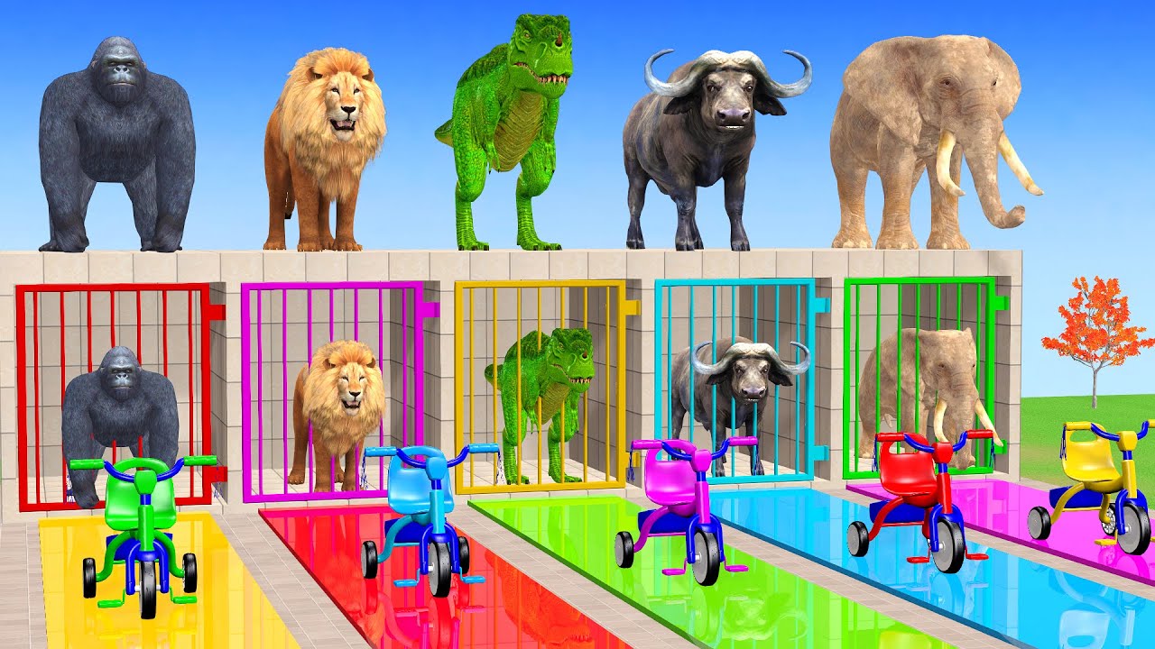 Long Slide Game with Cow Elephant Gorilla Hippopotamus Tiger 3d Animal Game Funny 3d Animals
