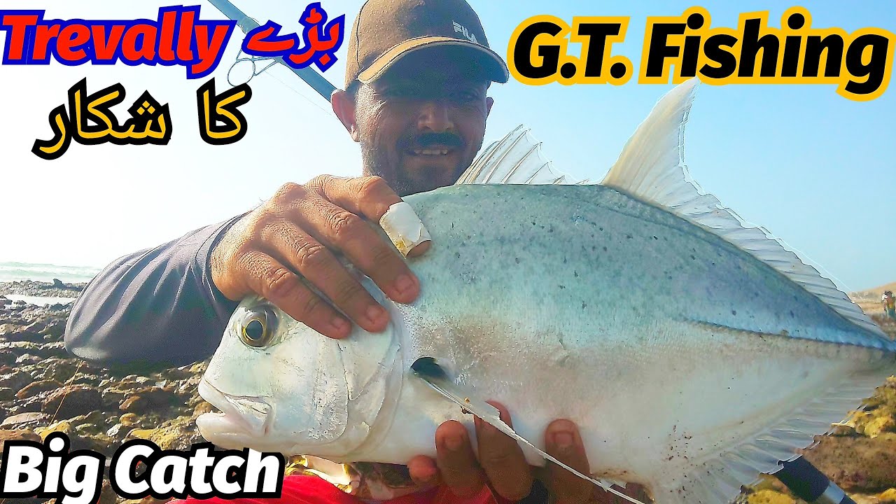 Giant Trevally at Surf Casting |Mubarak Village Beach Casting |Surf Fishing Video #karachifishing.