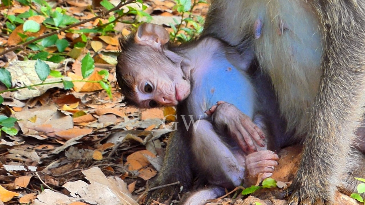 The adorable baby's soft movements while staying in its momma's hand