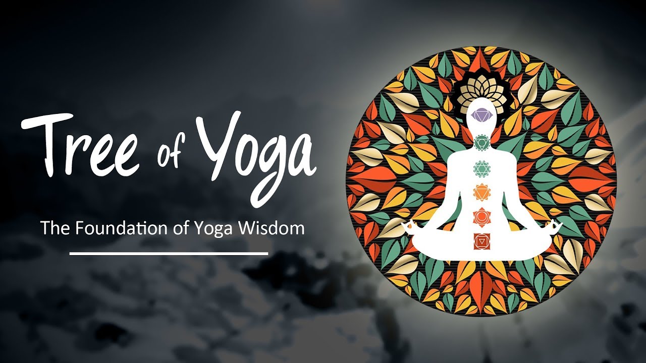 Tree Of Yoga : Episode #2 - The Foundation Of Yoga Wisdom | Science of Identity Foundation