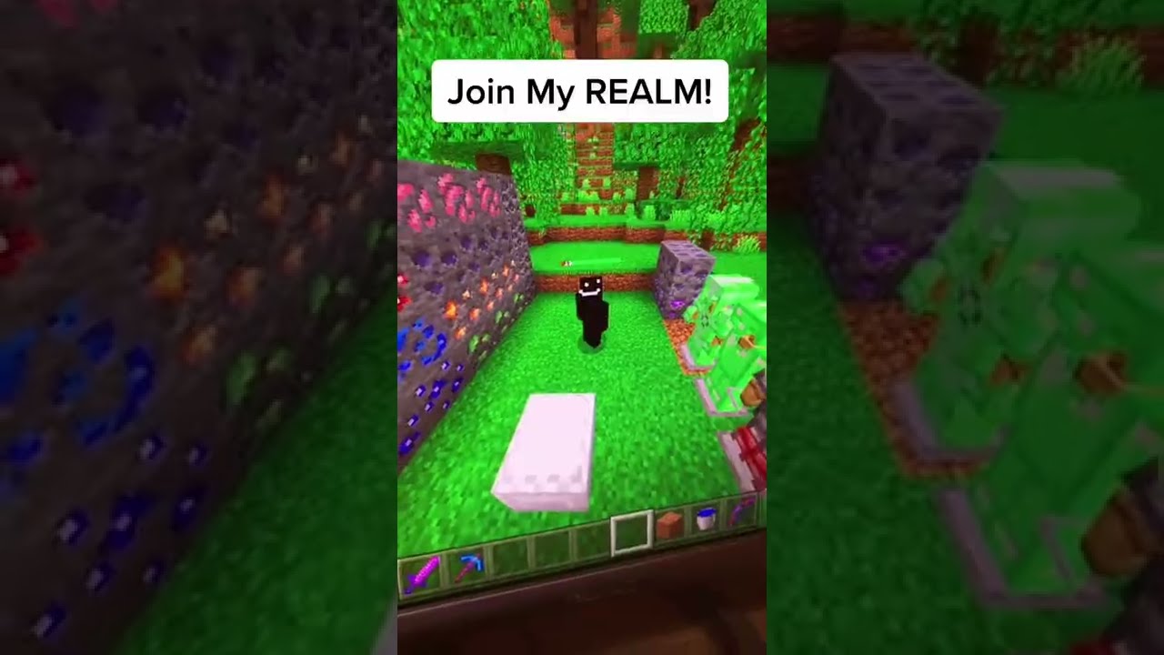 JOIN MY MINECRAFT REALM (Bedrock)