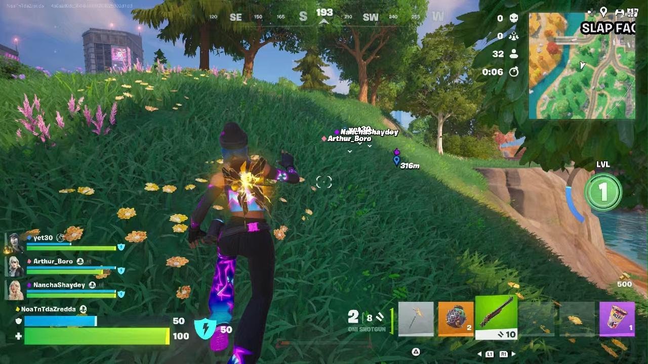 Fortnite  victory royale