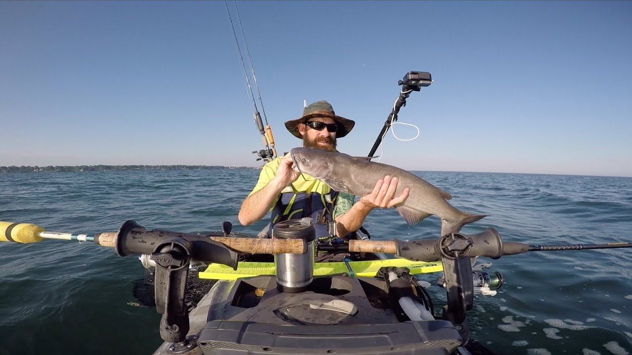 Catfish Chaos! Lake Erie Kayak Fishing for big catfish part 1