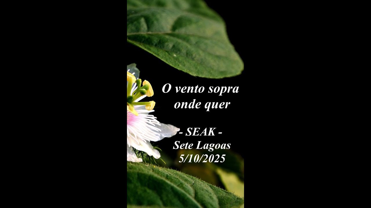 O vento sopra onde quer - SEAK