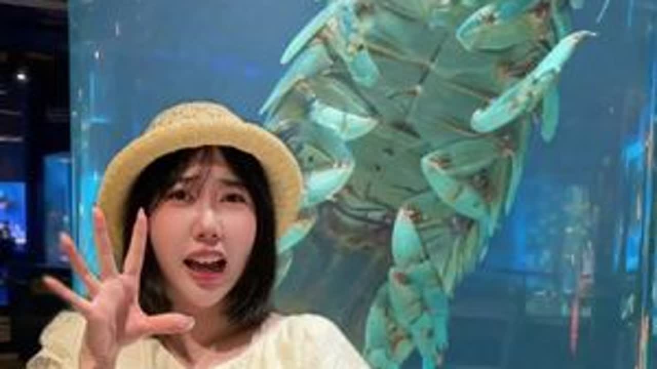 非普通水族馆⚠️克苏鲁生物爱好者狂喜 #克苏鲁 #水族馆 #珍稀生物