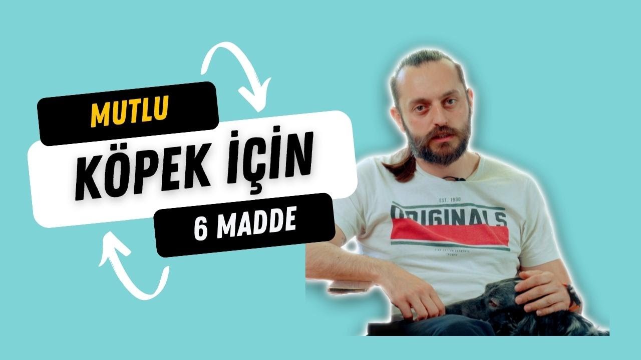 Mutlu K&ouml;pek i&ccedil;in 6 Madde - K&ouml;pek Eğitim Videoları