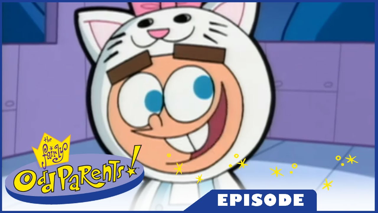 The Fairly OddParents: Top 5 Episodes Of Season 3