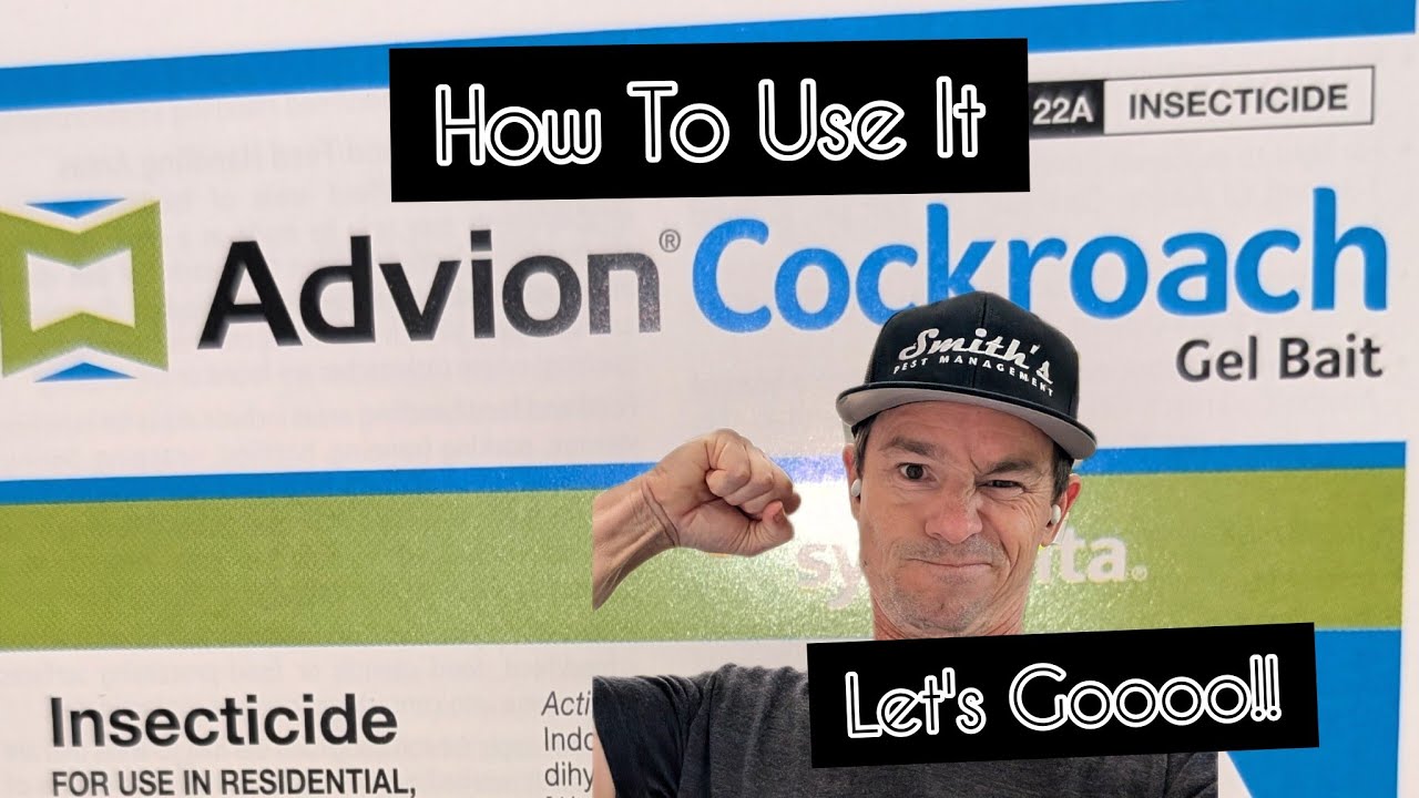 How to Use Advion Cockroach Gel Bait Effectively – Pro Tips from The Pest Dude