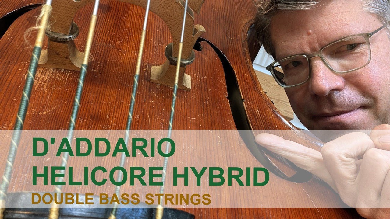 Обзор струн для контрабаса: D'Addario HELICORE HYBRID Medium