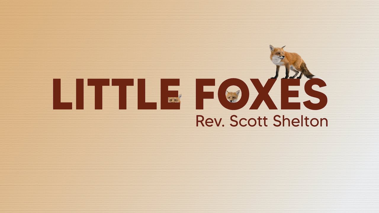 Rev. Scott Shelton - Little Foxes