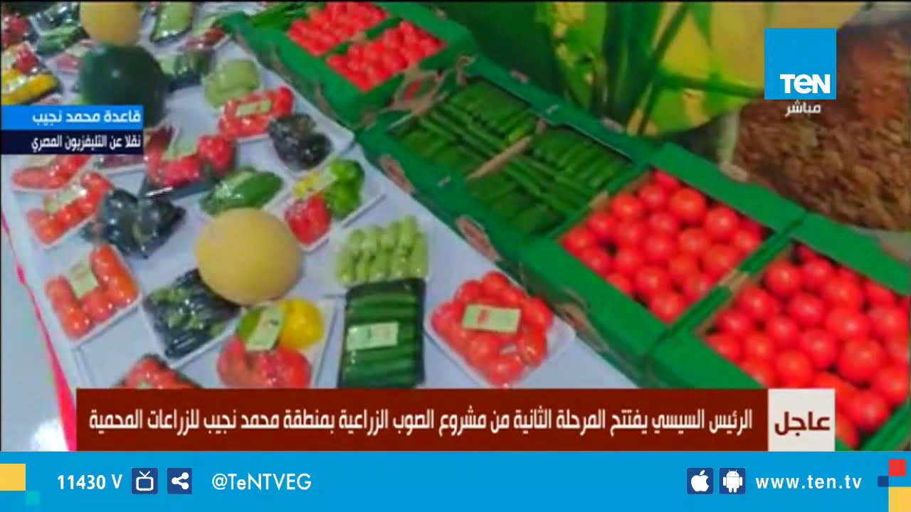 السيسي يتفقد الصوب الزراعية الجديدة بقاعدة محمد نجيب