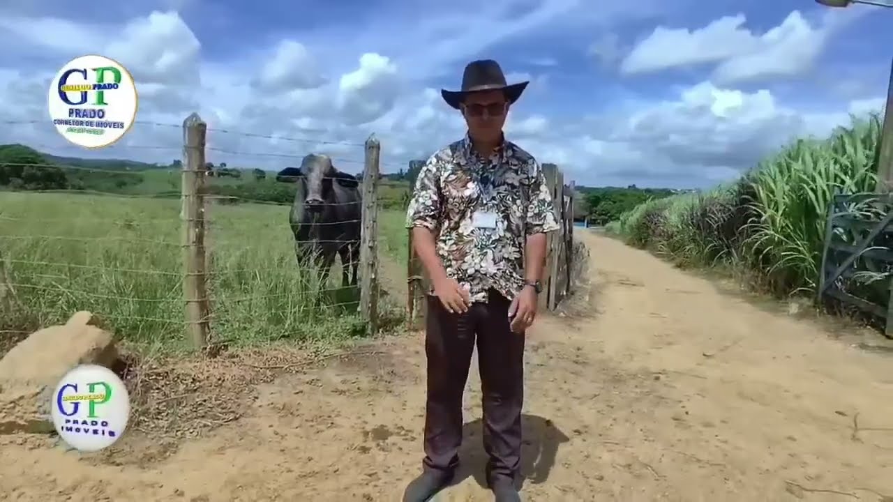 81#Sítio 12 hectares para vender em chã de alegria 