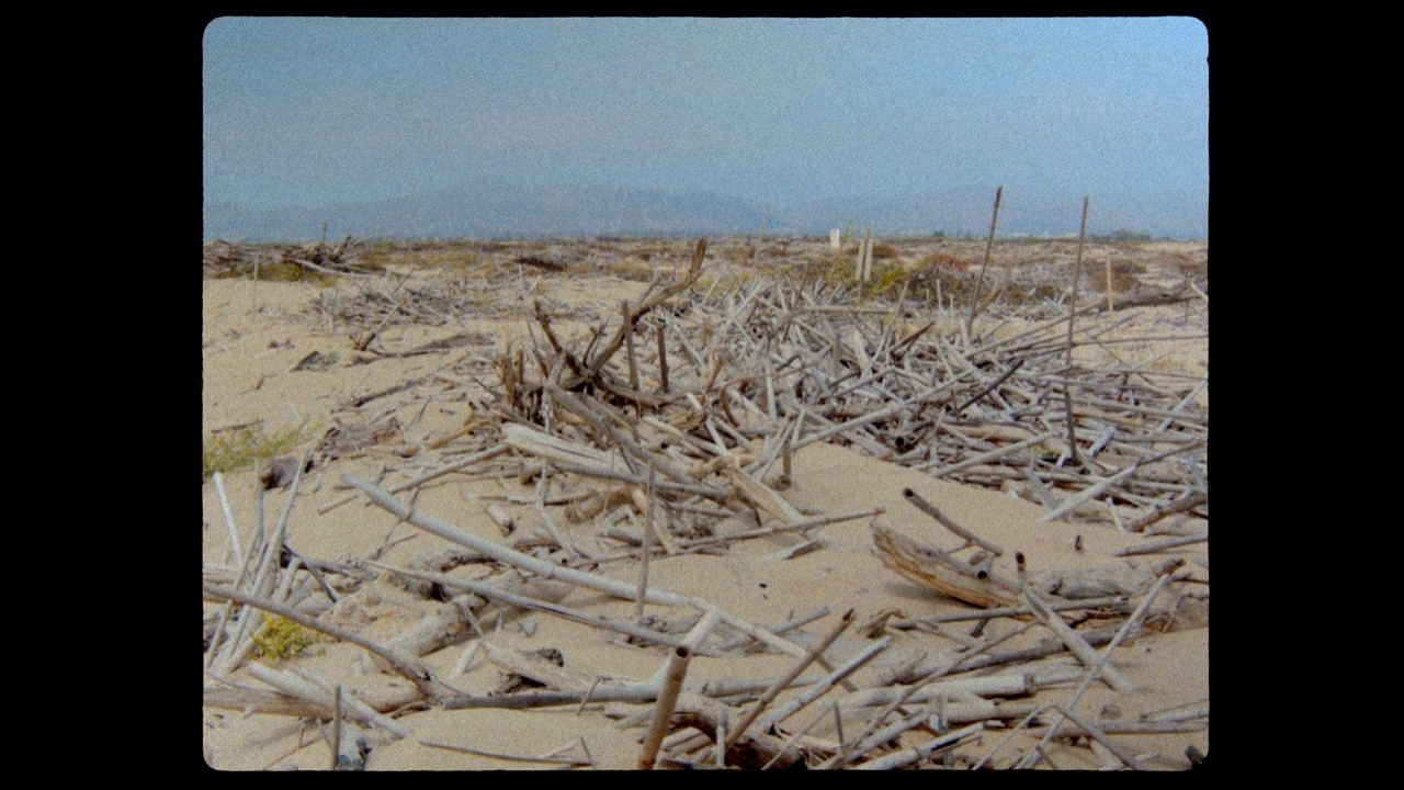 August 2024 Observations | BMPCC OG Film | Color Grading 16mm